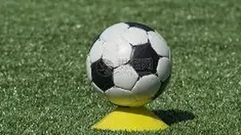 赛季重启后世界排名恐定型，奥运世锦赛资格遭遇挑战