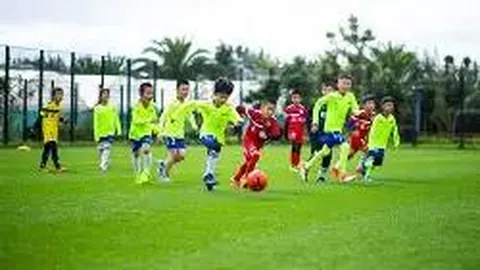 B体育 资讯 101230 pnv