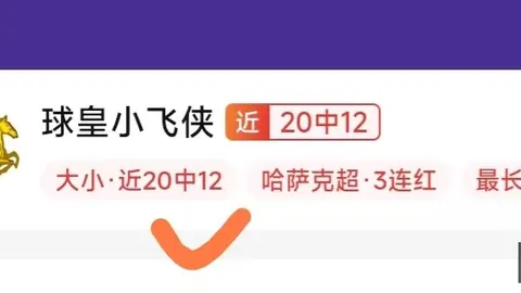 比利时对决塞内加尔：深度数据分析